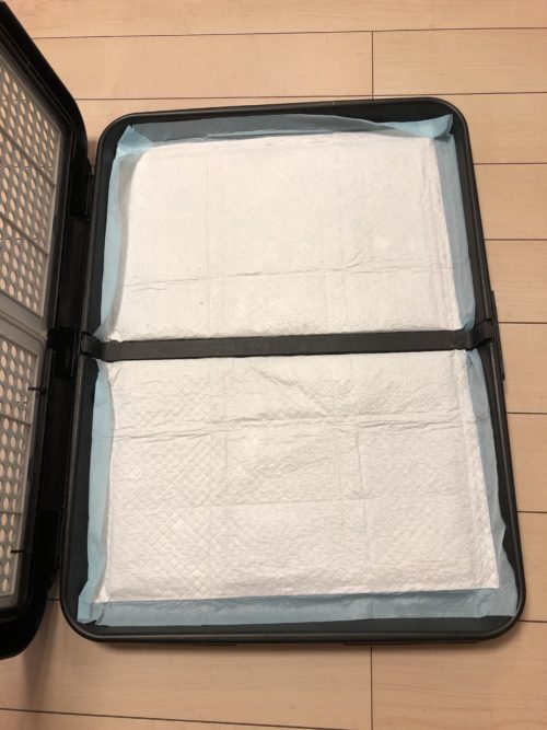 ペティオアドメイトわんトレー6