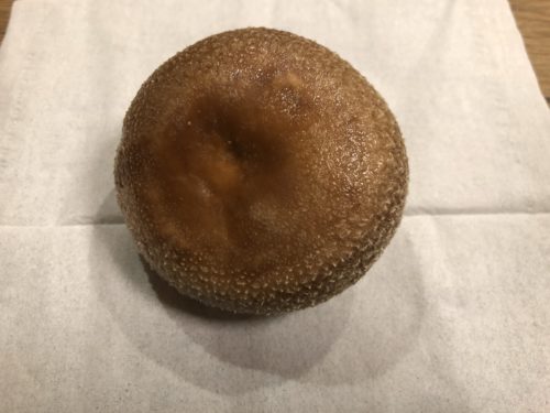 しいたけ農園3回目4日目収穫1